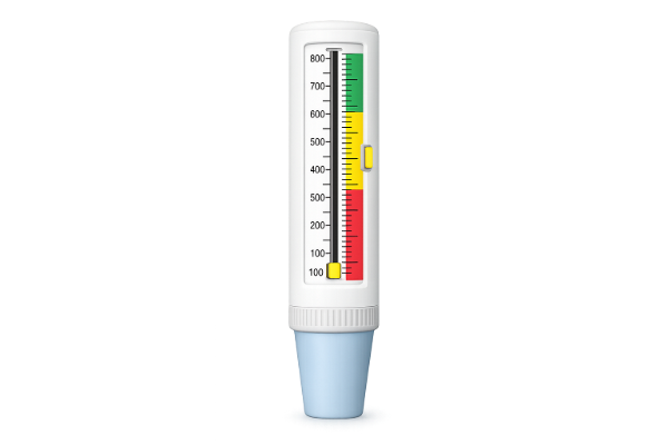 Picture of Peak Flow Meter