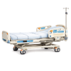 Picture of 5-Function ICU Bed